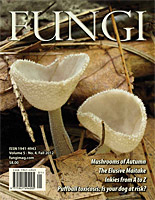 FUNGI  Magazine Winter 2012