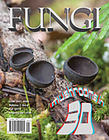 FUNGI  Magazine Winter 2012