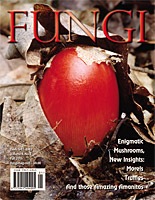 FUNGI  Magazine Winter 2012