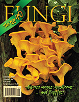 FUNGI  Magazine Winter 2012