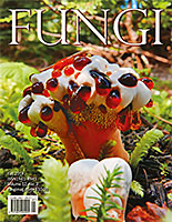 FUNGI  Magazine Winter 2012