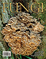 FUNGI  Magazine Winter 2012