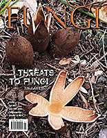 FUNGI  Magazine Winter 2012