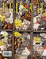 FUNGI  Magazine Winter 2012