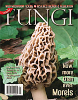 FUNGI  Magazine Winter 2012