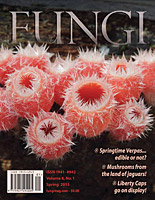 FUNGI  Magazine Winter 2012