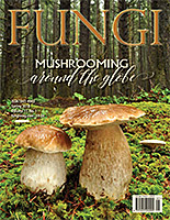 FUNGI  Magazine Winter 2012