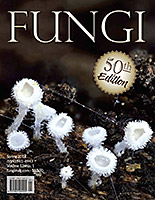 FUNGI  Magazine Winter 2012