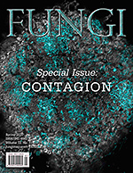 FUNGI  Magazine Winter 2012