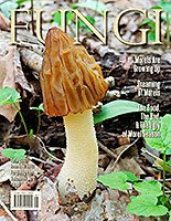 FUNGI  Magazine Winter 2012