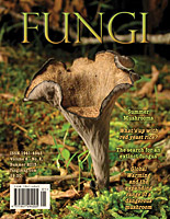 FUNGI  Magazine Winter 2012