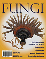 FUNGI  Magazine Winter 2012