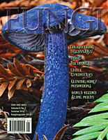 FUNGI  Magazine Winter 2012