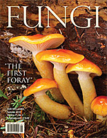 FUNGI  Magazine Winter 2012