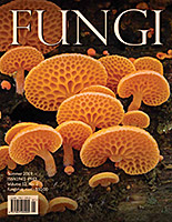 FUNGI  Magazine Winter 2012