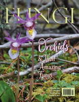 FUNGI Magazine Summer 2022