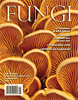 FUNGI  Magazine Winter 2012