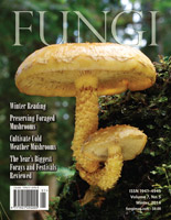 FUNGI  Magazine Winter 2012