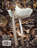 FUNGI  Magazine Winter 2012