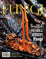 FUNGI  Magazine Winter 2012