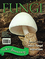 FUNGI  Magazine Winter 2012