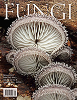 FUNGI  Magazine Winter 2012